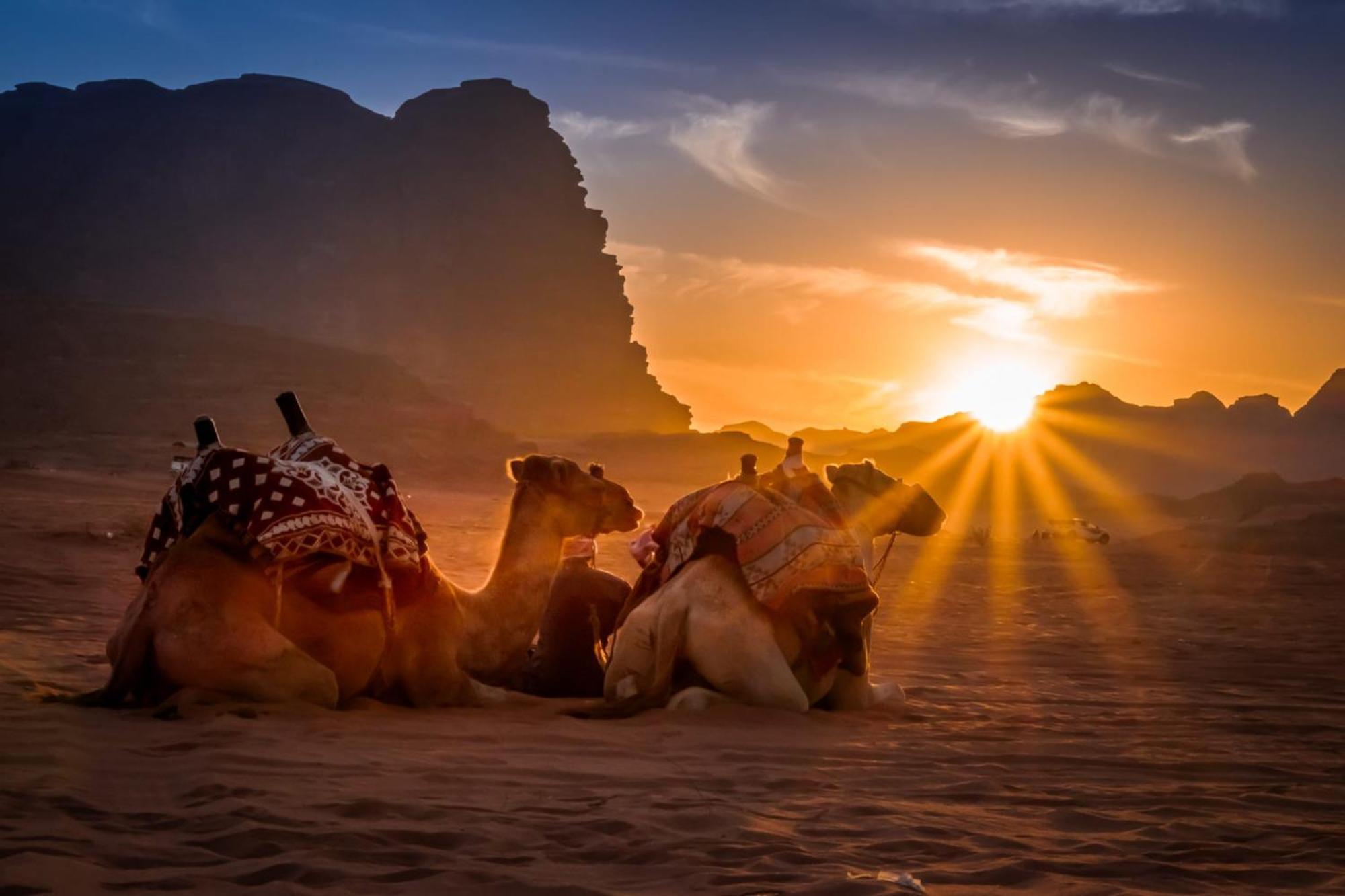 Hotel Wadi Rum Caeser Camp Exteriér fotografie